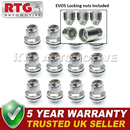 12x nuts evo5 - +, locking